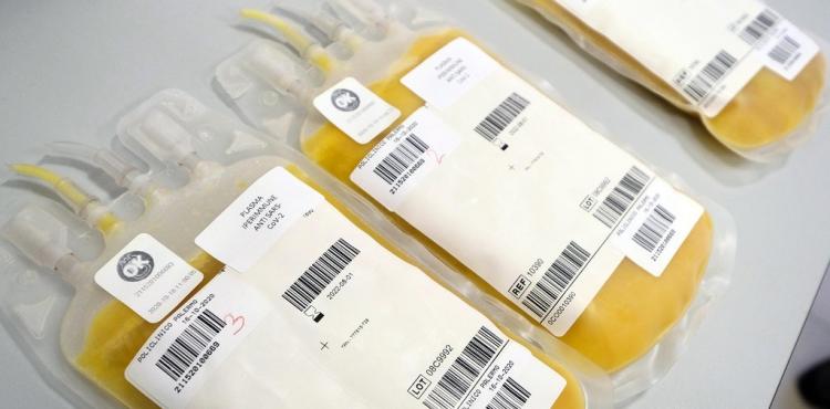 بلازما plasma.jpg