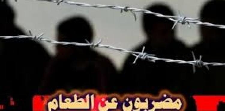 إضراب