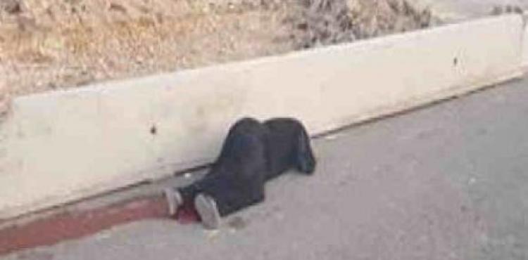 qalandia-shahida-442x320.jpg