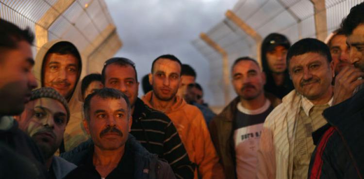 عمال فلسطين 