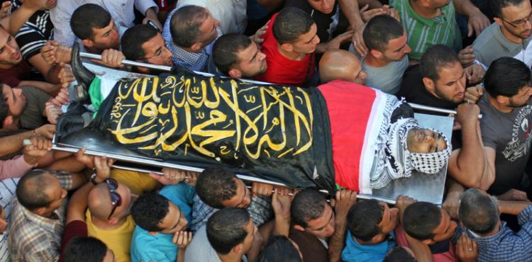 الشهيد محمد محمود عطا الله الطريفي