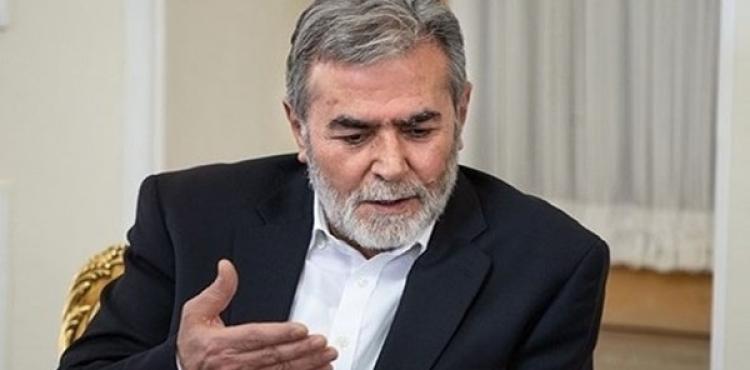 زياد النخالة