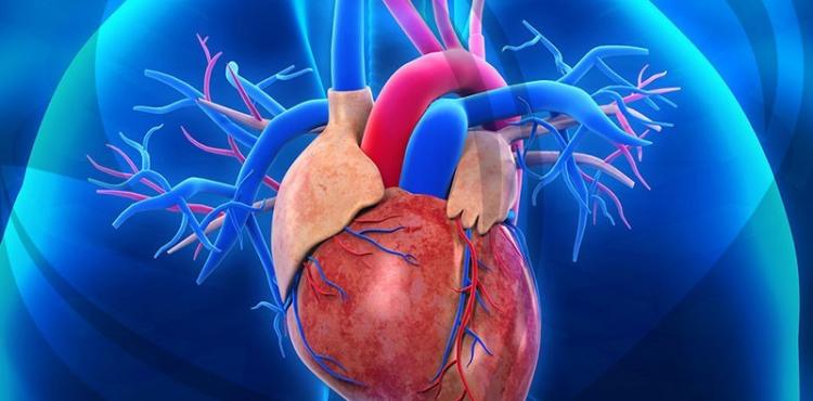 مرض القلب.jpg