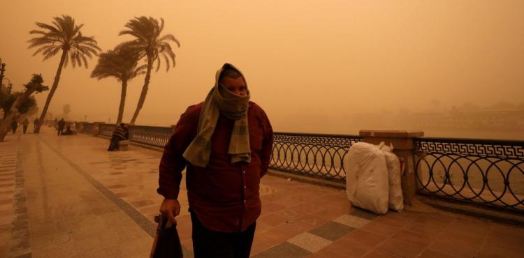 عاصفة التنين.jpg