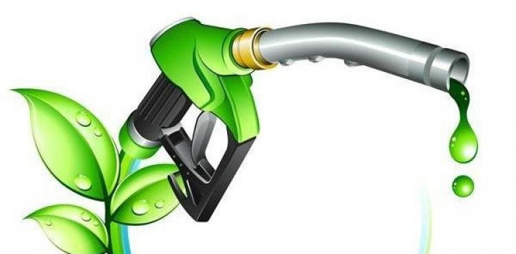 وقود للسيارات من الأشجار