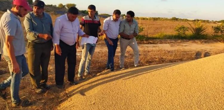 الزراعة تللف علفا.jpg