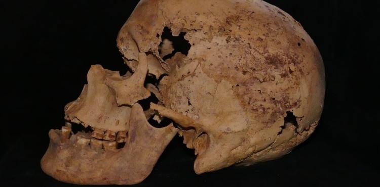 جمجمة..ليس لها علاقة بالموضوع