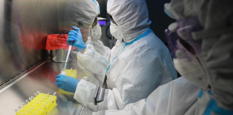 فيروس كورونا.jpg