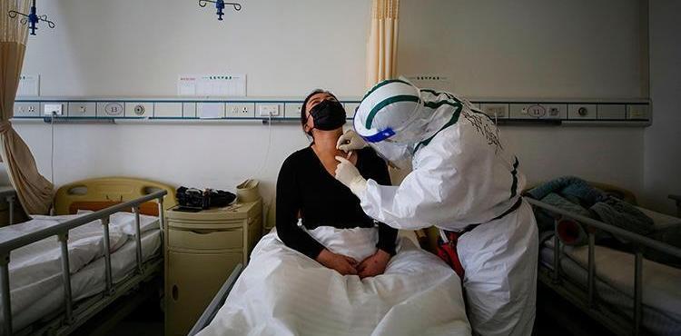 كورونا في بلجيكا