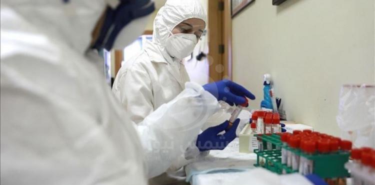 كورونا الخليل