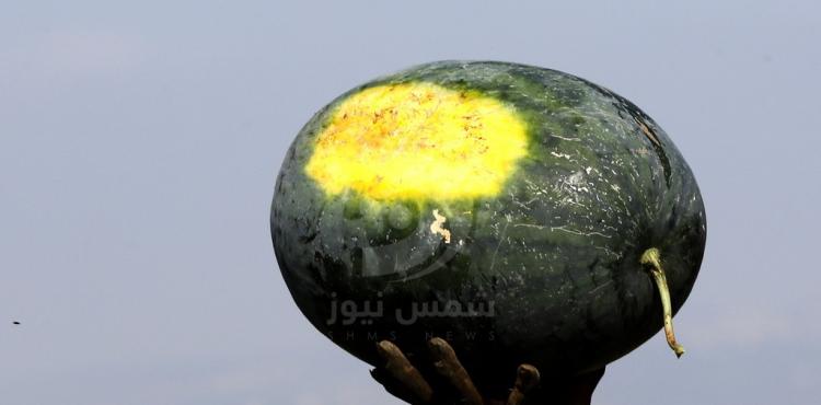 بطيخ.jpg
