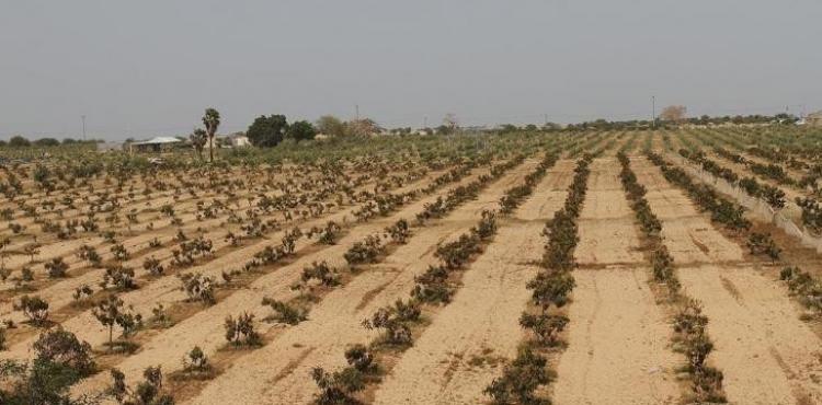 الأراضي المحلول و المندوب.jpg