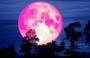 القمر العملاق الزهري.jpg