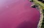 البحيرة الوردية.jpg
