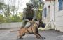 مقتل كلب عسكري اسرائيلي