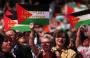 مظاهرات في إيرلندا دعماً لفلسطين وتنديداً بإسرائيل.jpg