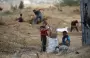 أطفال فلسطينيون يجمعون الحطب لاستخدامه في الطهي وسط نقص الوقود