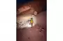 e7029cf9-b30e-4023-a8fa-b7e02a70ce3f.webp