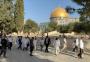 مئات المستوطنين اقتحام الأقصى.jpg