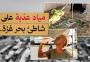 بئر مياه على شاطئ البحر والمفاجئة مياه عذبة.jpg