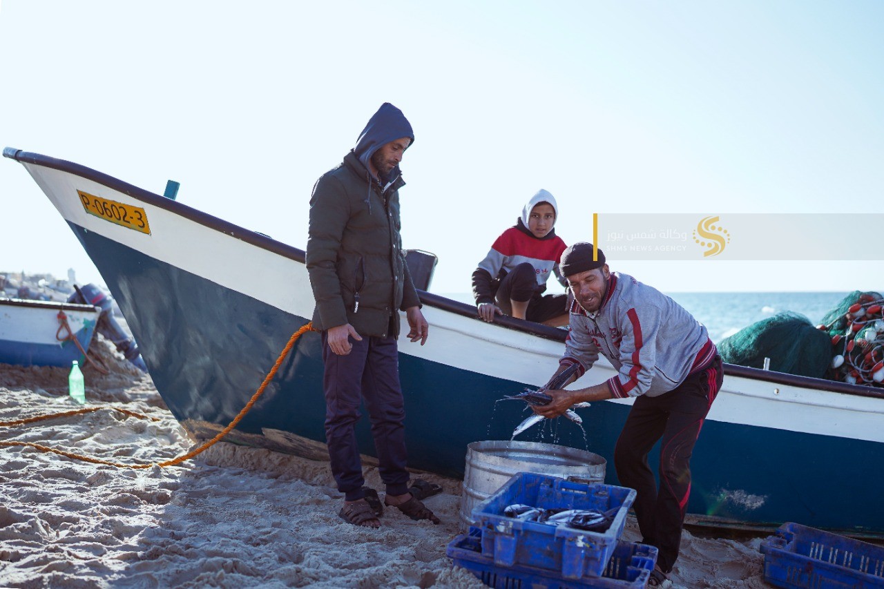 سمك العصافير 7.jpg