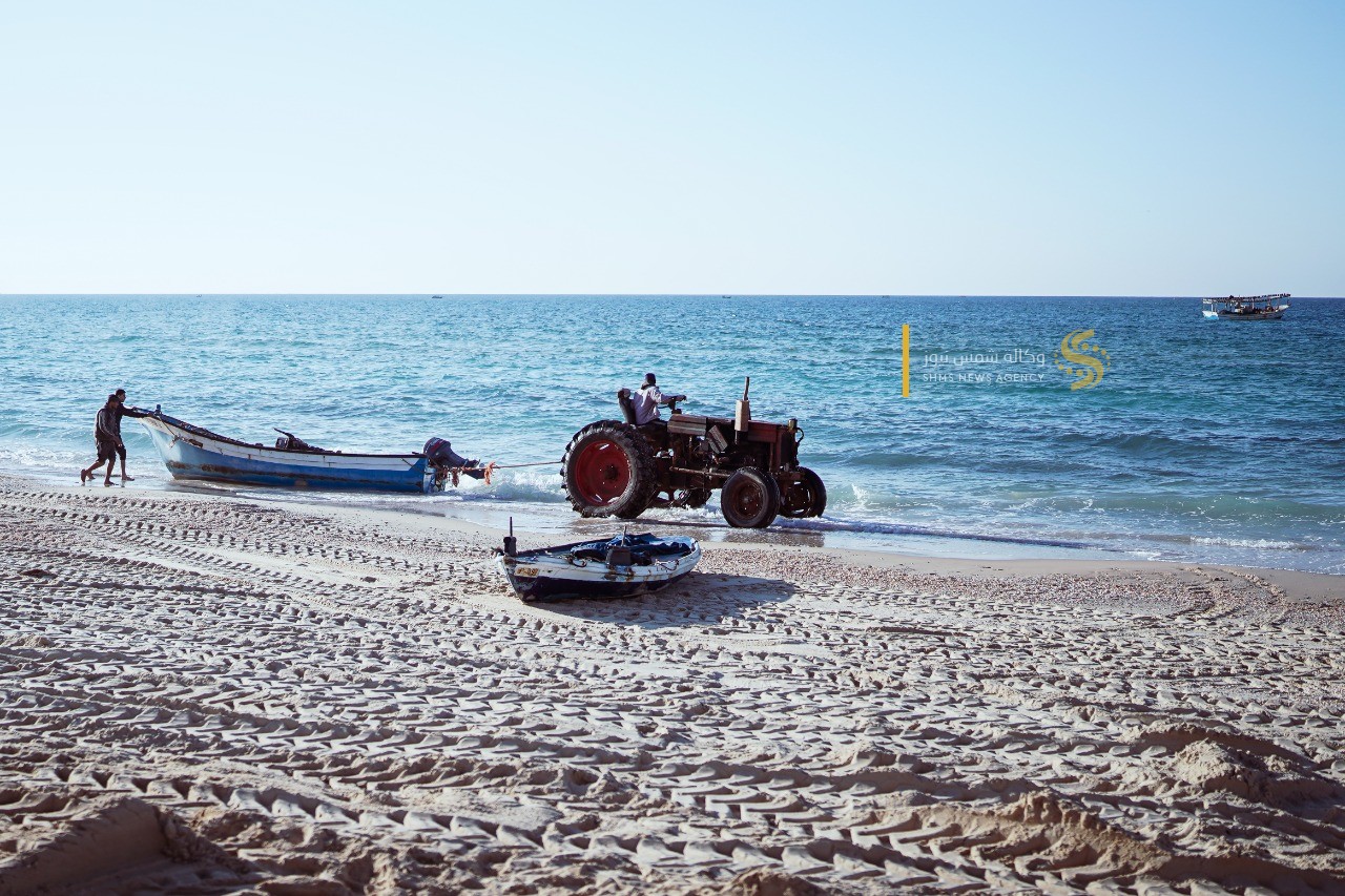 سمك العصافير 12.jpg