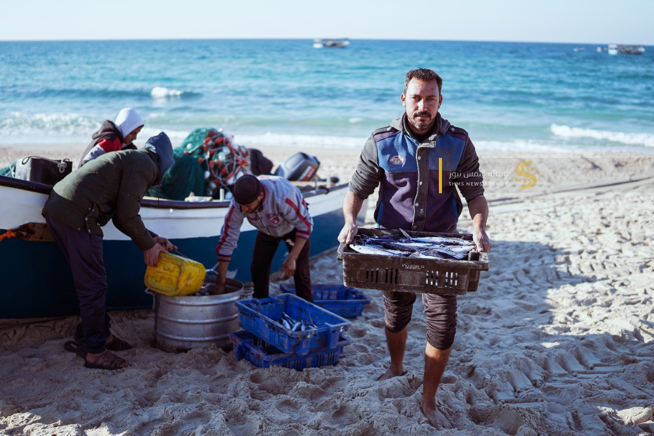 سمك العصافير 6.jpg