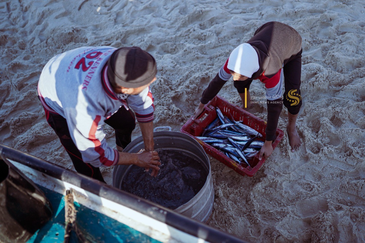 سمك العصافير 11.jpg