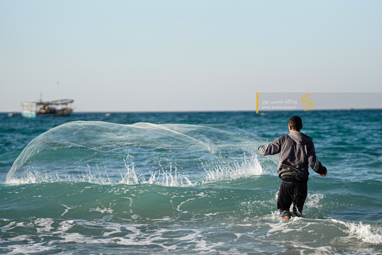 سمك العصافير 14.jpg