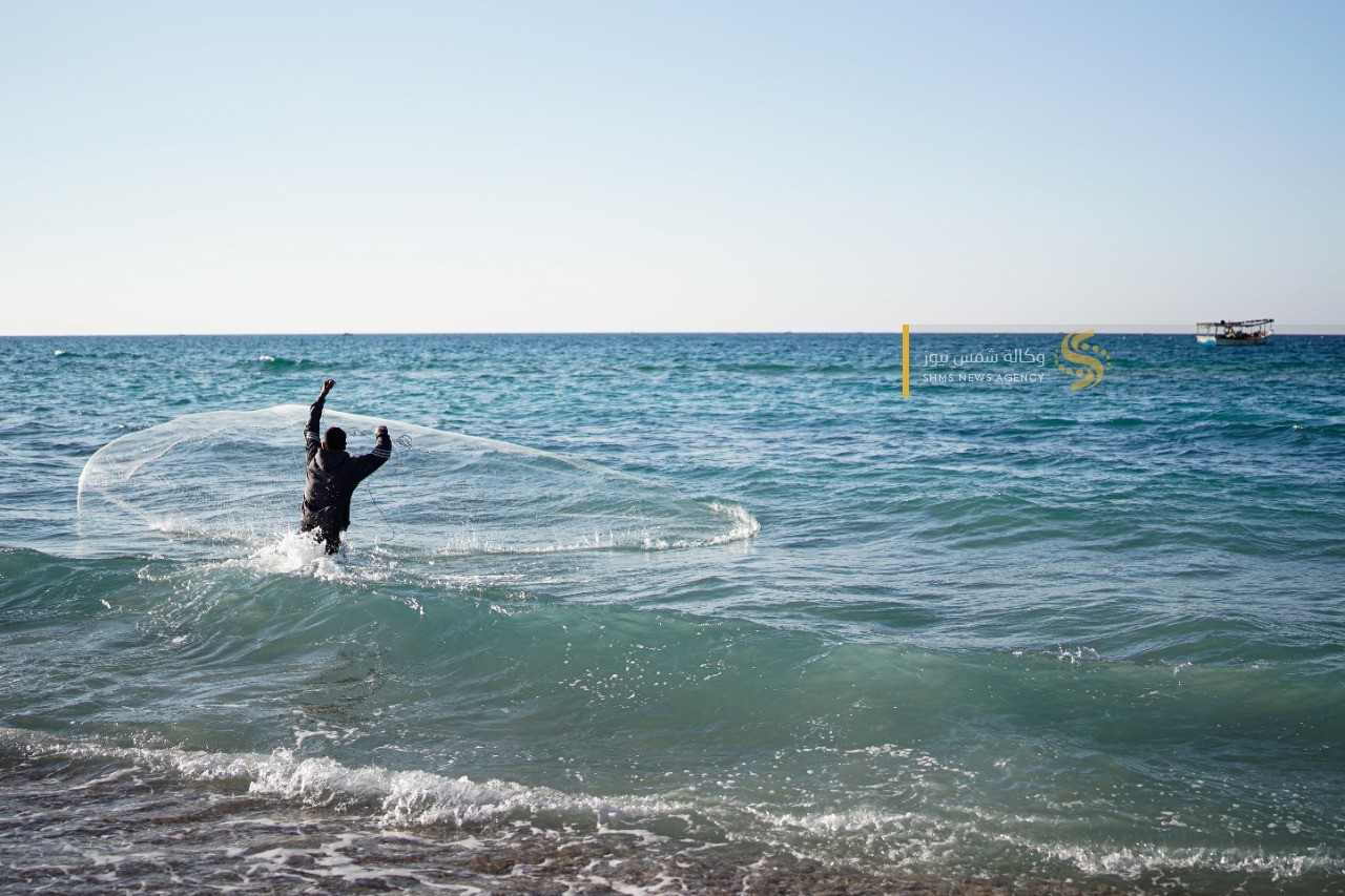 سمك العصافير 13.jpg