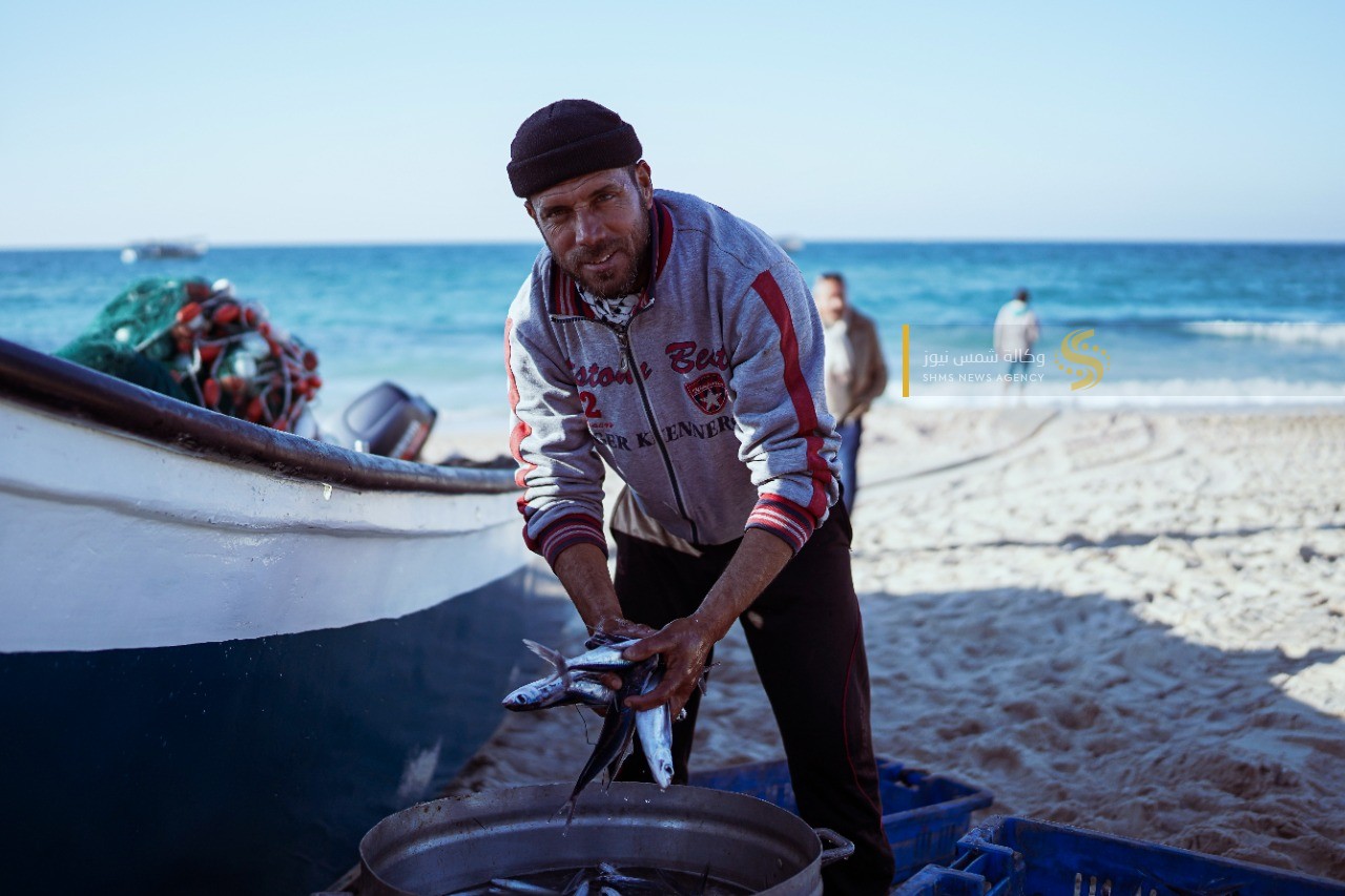 سمك العصافير 8.jpg