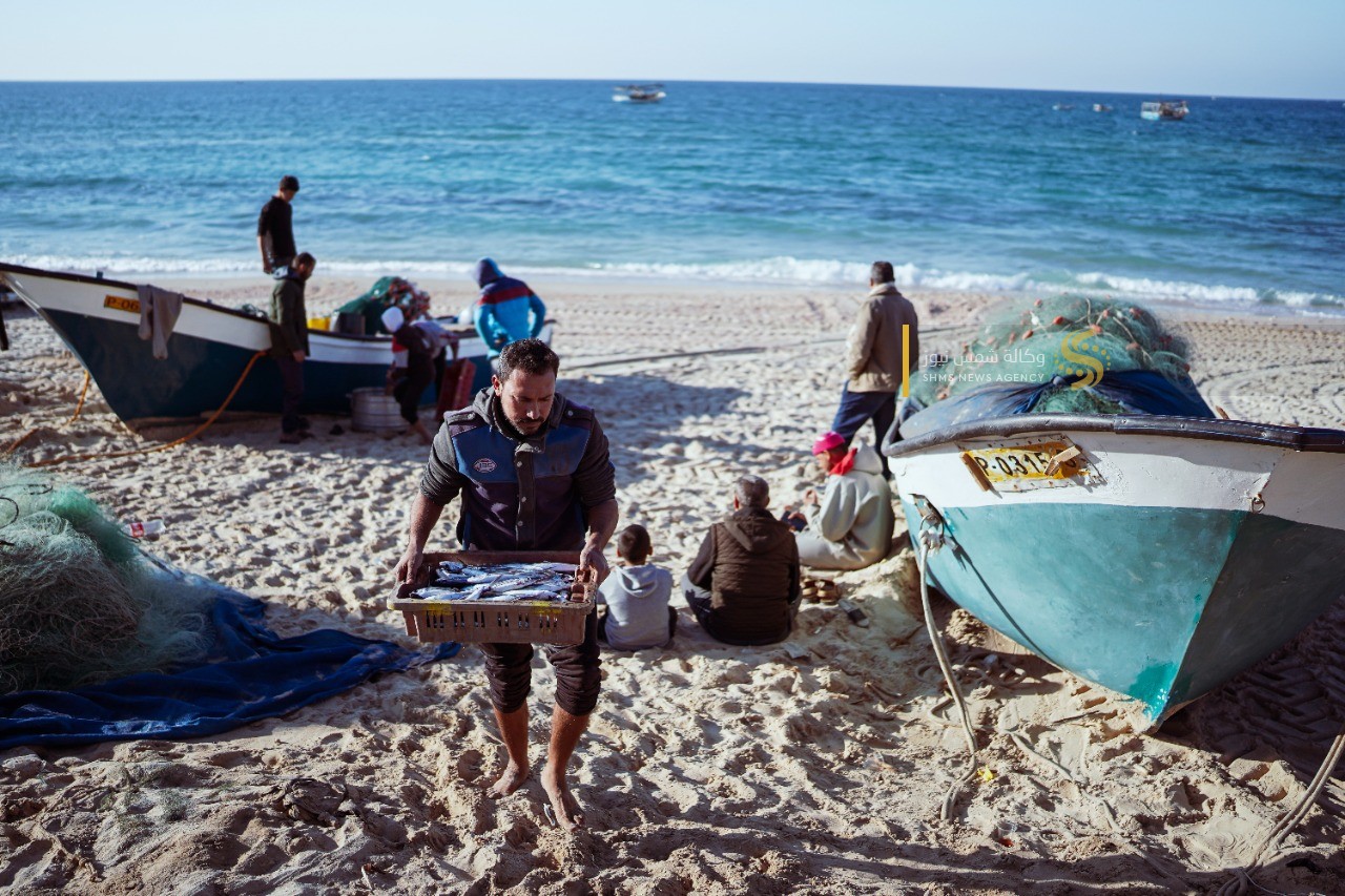 سمك العصافير 10.jpg