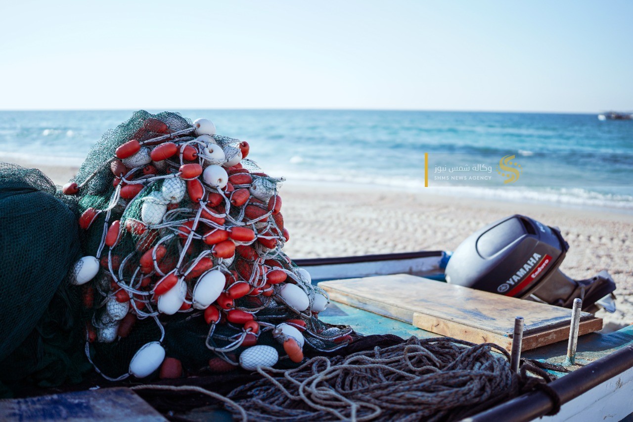 سمك العصافير 1.jpg