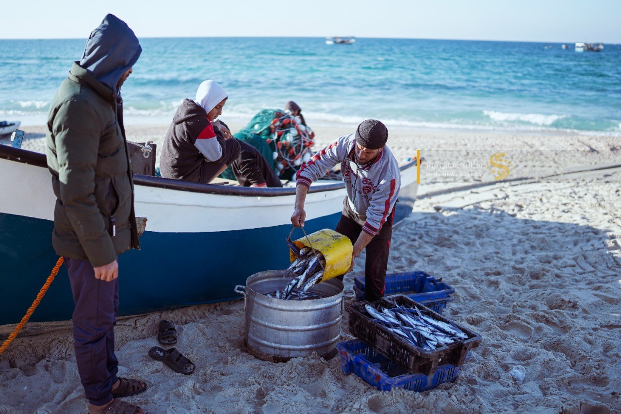 سمك العصافير 2.jpg