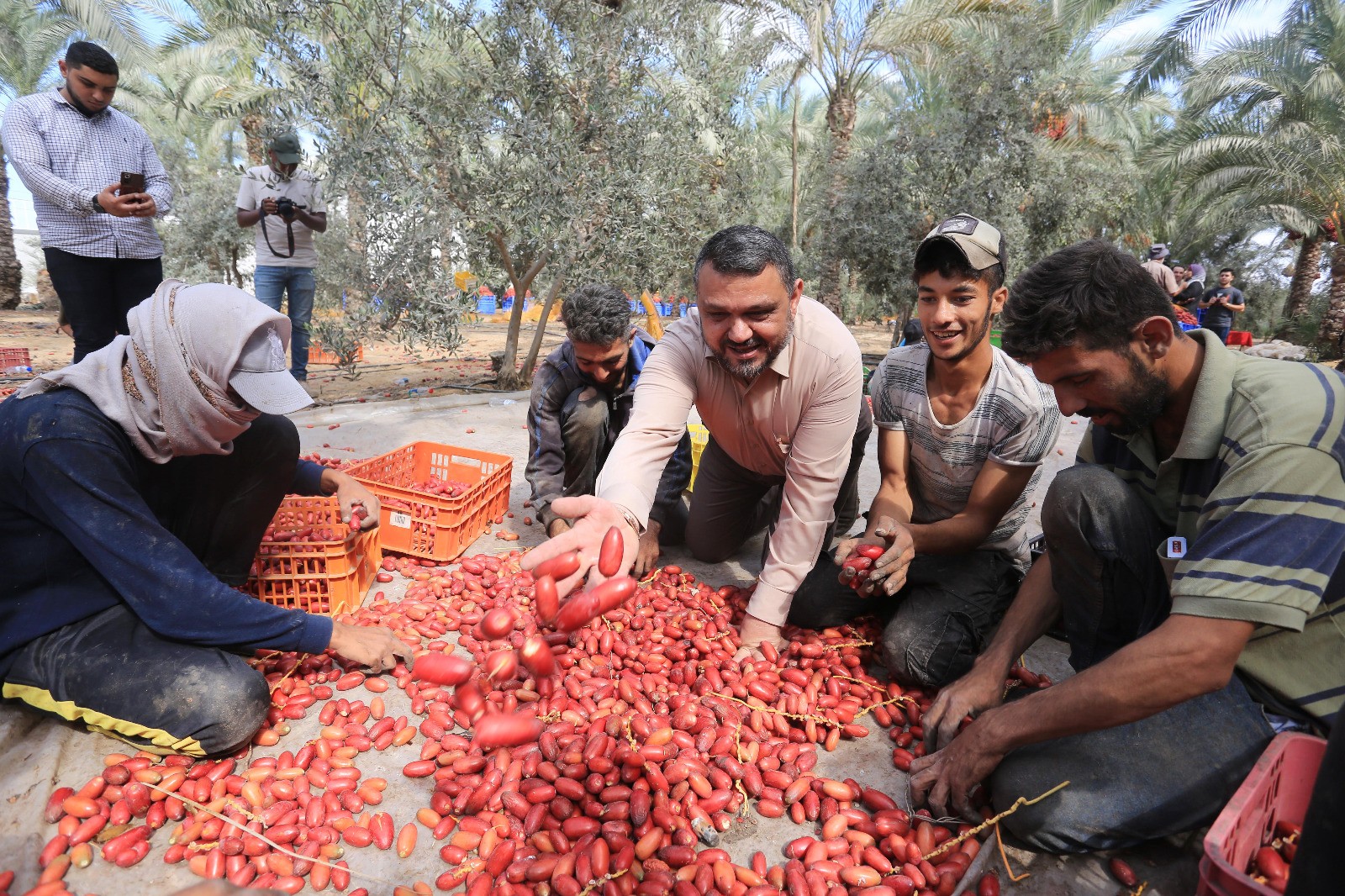 ثمار موسم البلح.jfif