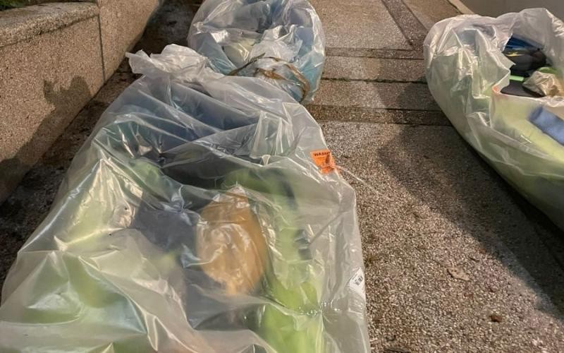 صور قارب الكاياك.jpeg