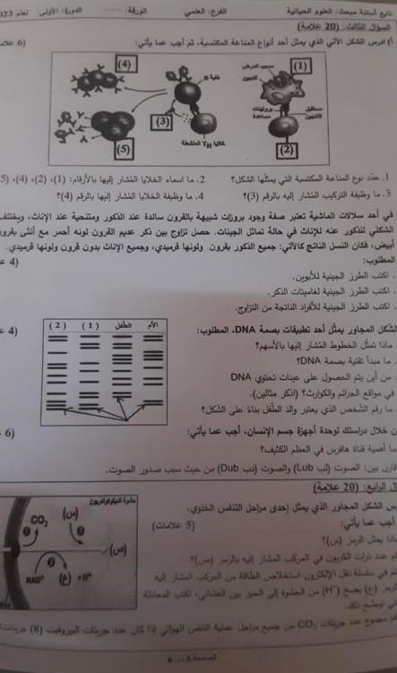 صورة حل أسئلة امتحان الأحياء – توجيهي فلسطين 2023.jpg