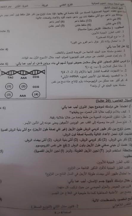 حل اجابات أسئلة امتحان الأحياء – توجيهي فلسطين 2023.jpg