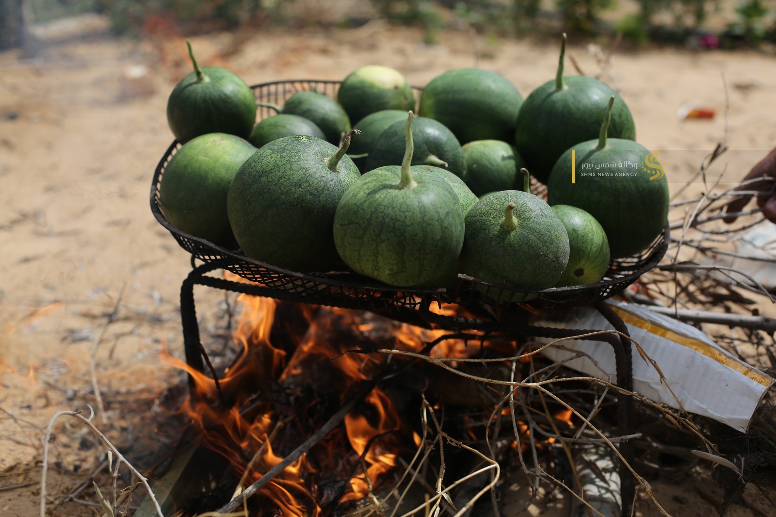 فتة العجر 1.jpg