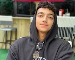 من هو عيدان ألكسندر؟ - الجندي عيدان الكسندر ويكيبيديا؟