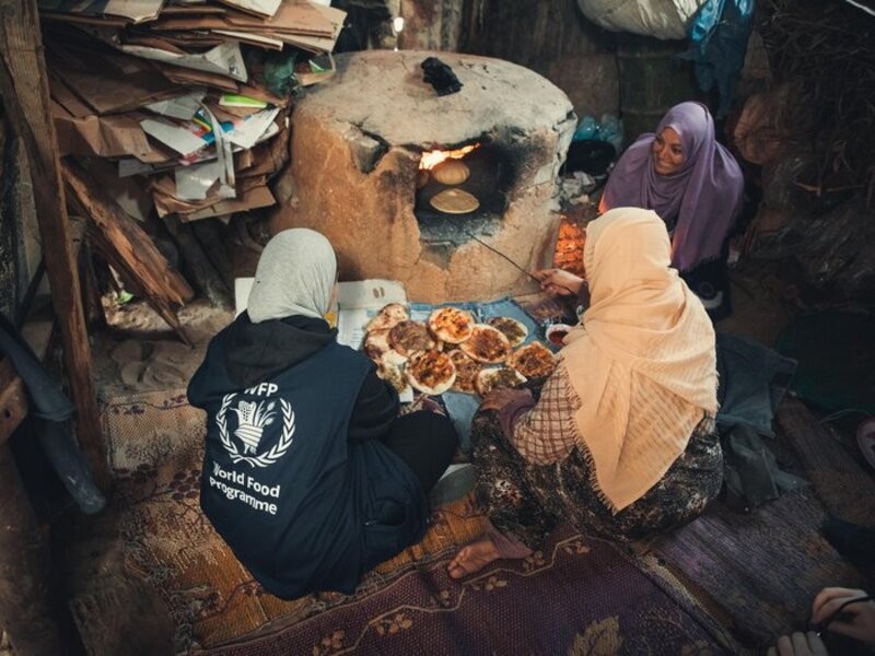 رابط تحديث بيانات النازحين في الغذاء العالمي 2025 رابط التسجيل والتحديث في wfp