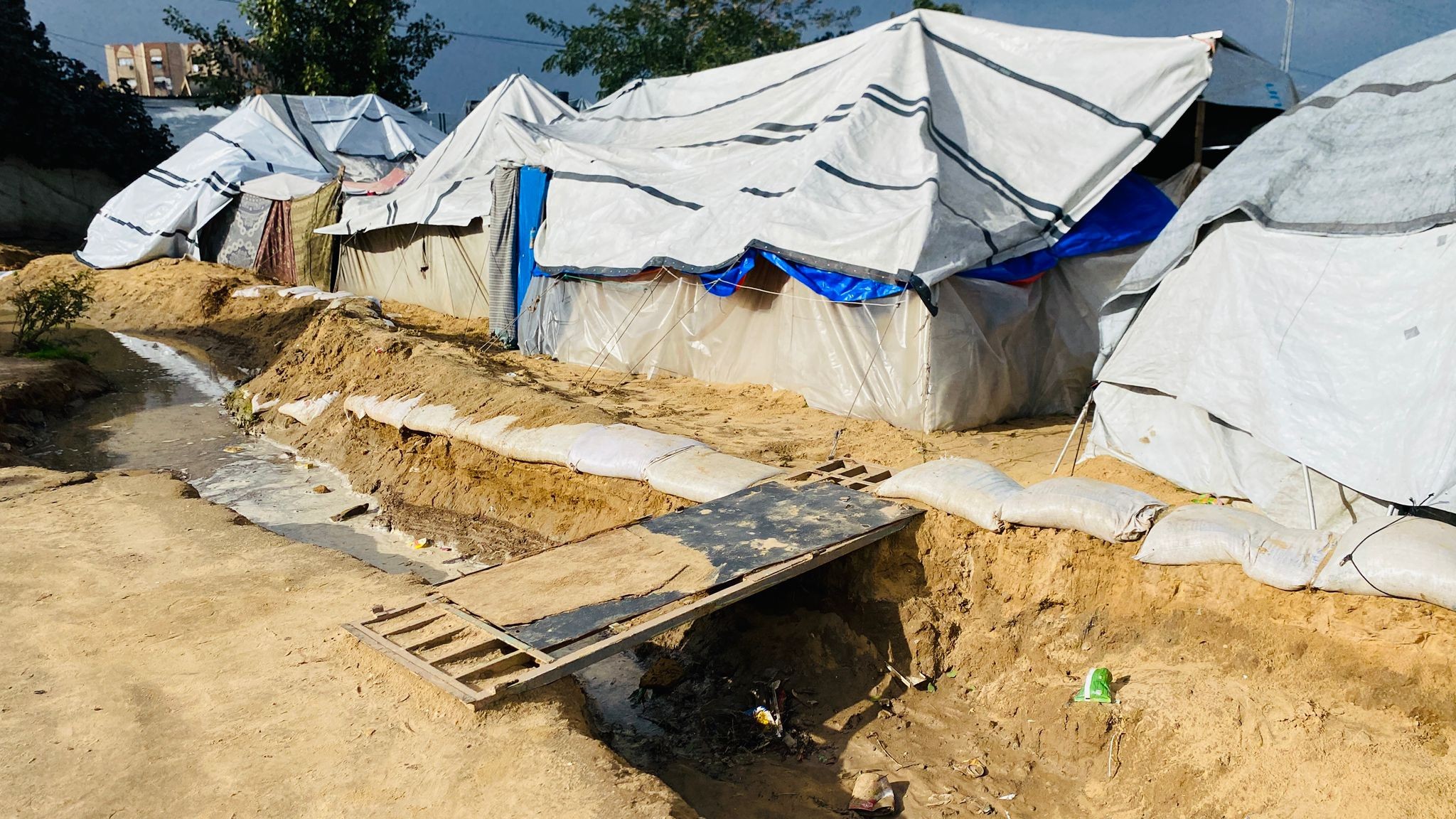 WhatsApp Image 2025-12-30 at 12.59.11 PM.jpeg