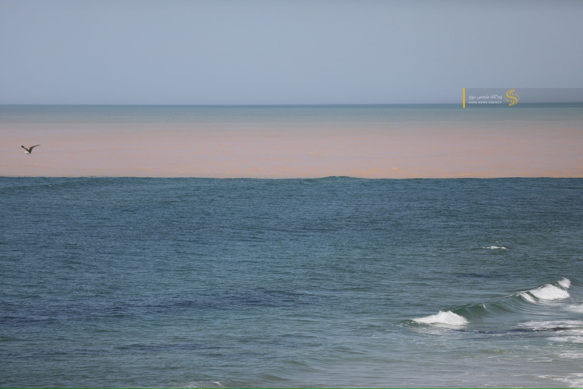 الاحتلال يفتح سد وادي غزة باتجاه البحر 6.jpg