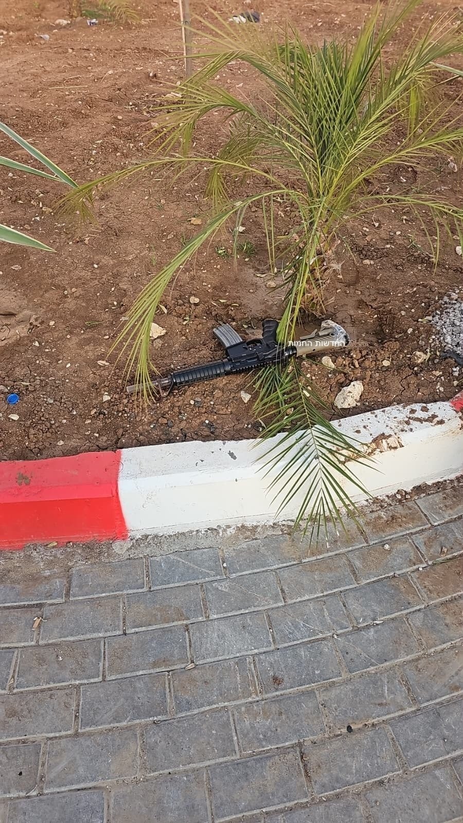 سلاح المقاومة.jpg